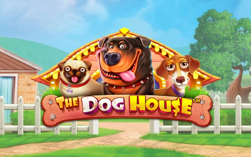 Land sticky wild bonus multipliers playing The Dog House on Mostbet.