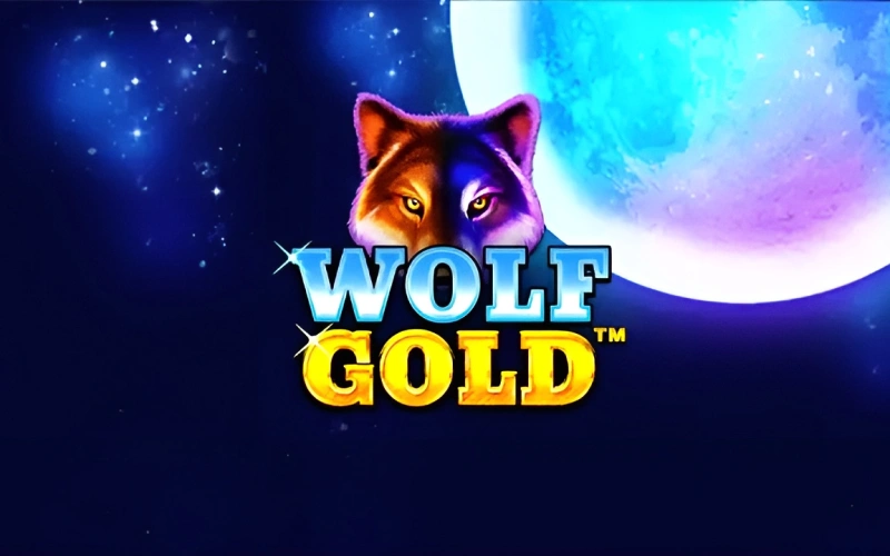 Hunt jackpot prize wild symbols playing Wolf Gold on Mostbet Main.